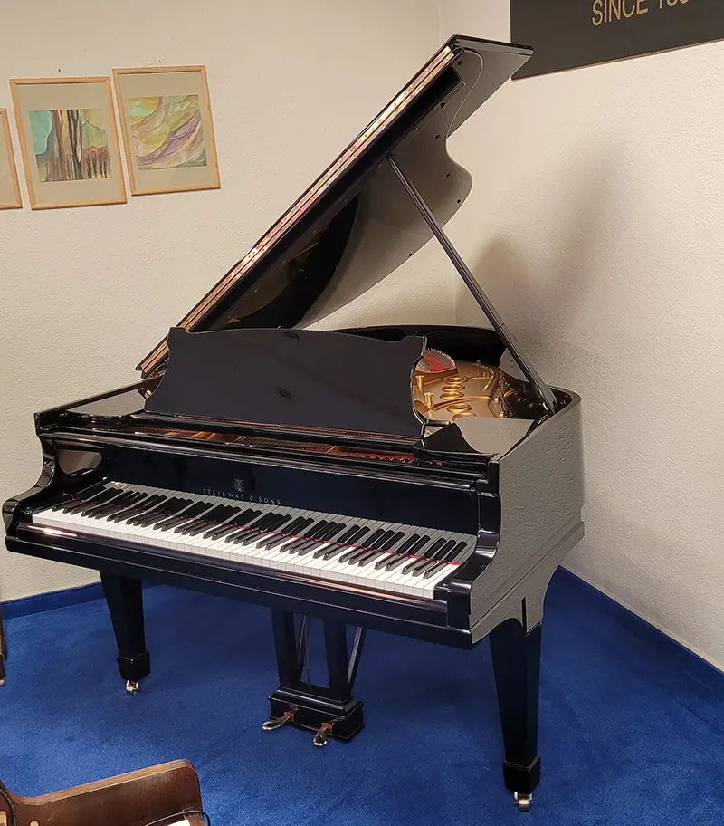Klavierhaus Kamran - Steinway M